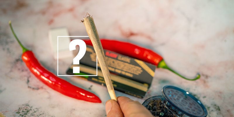 Guindilla y Marihuana: ¿La Pareja Perfecta?