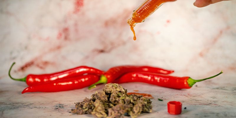 Cómo Combinar Guindilla y Marihuana en La Comida