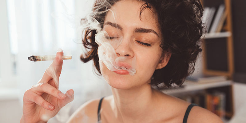 Comparación entre el cannabis y los psicodélicos tradicionales
