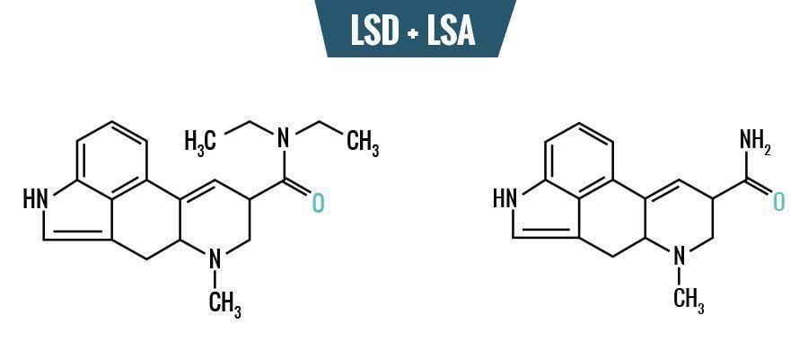 LSD vs. LSA - La Diferencia