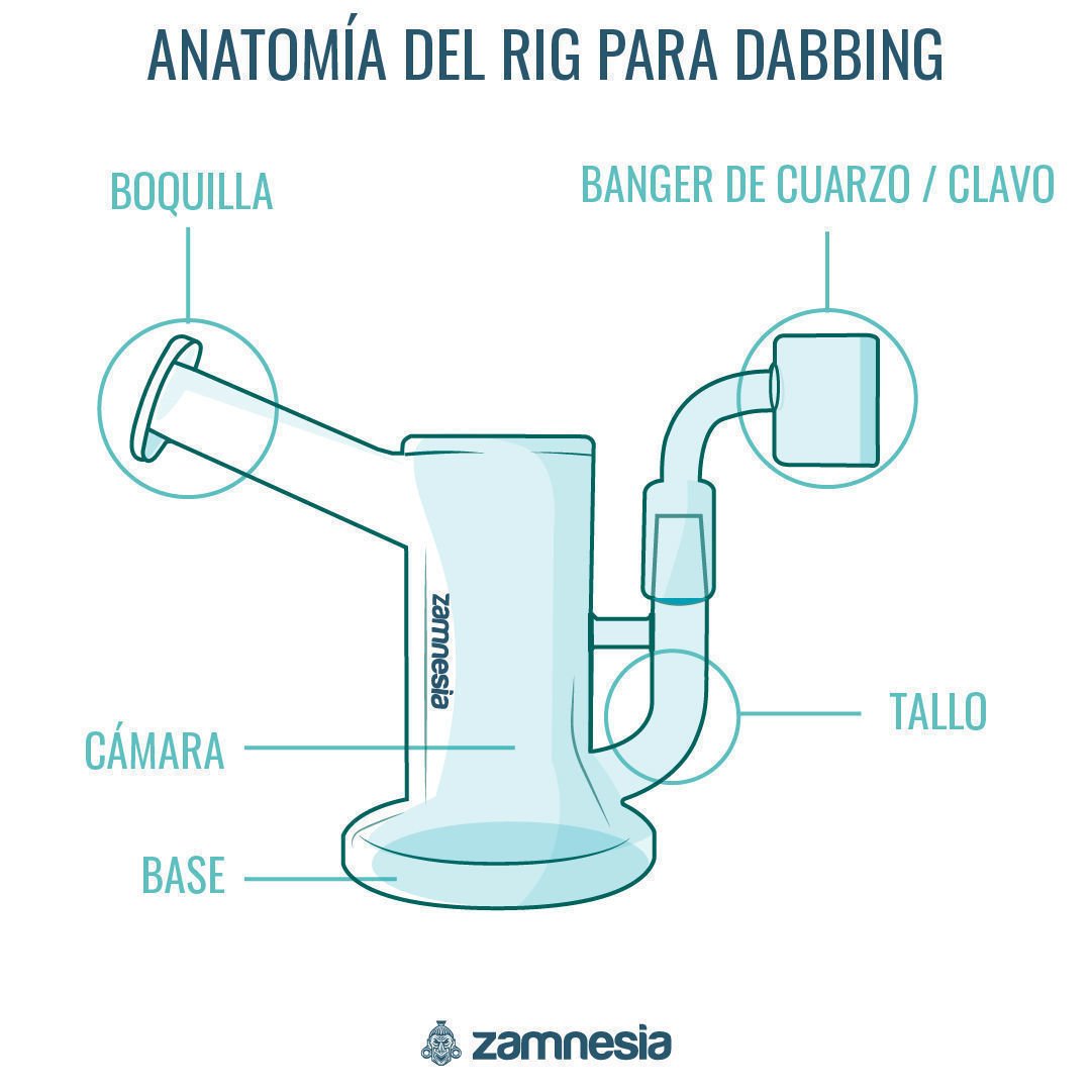 anatomía del rig para dabbing