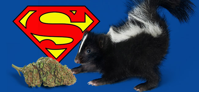 Super Skunk