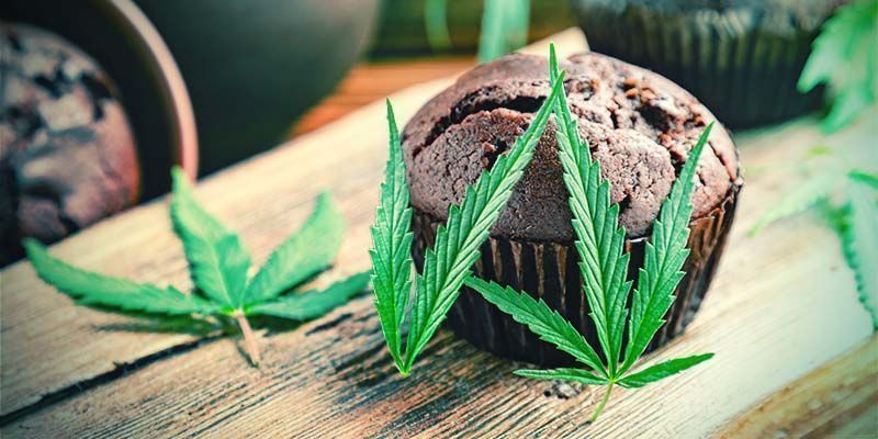 La Calidad De Los Comestibles De Marihuana Comerciales Es Cuestión De Suerte