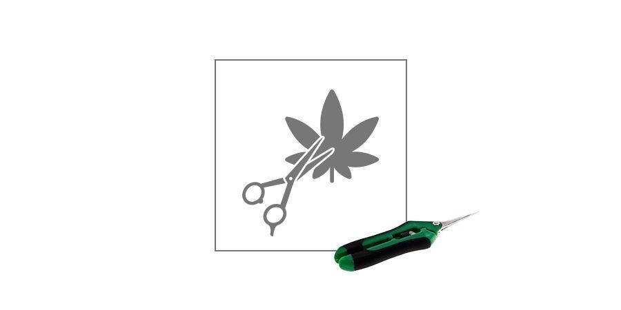 Tijeras De Podar Profesionales Cannabis