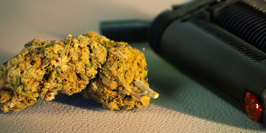 El Efecto Séquito Con Marihuana