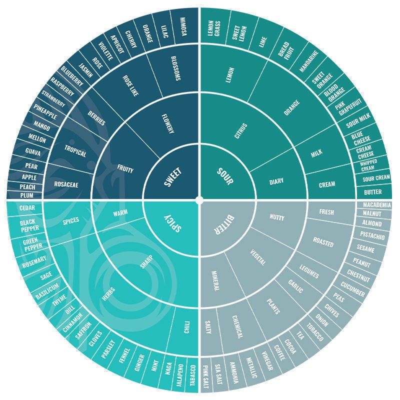 CBD Y Terpenos: Más Allá Del THC