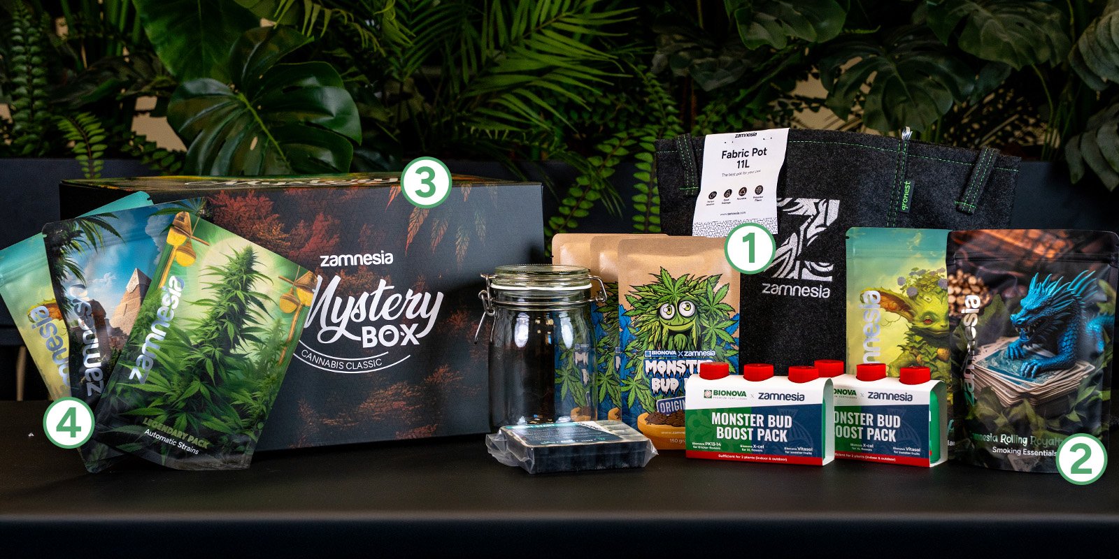 1. Packs todo en uno y kits de iniciación