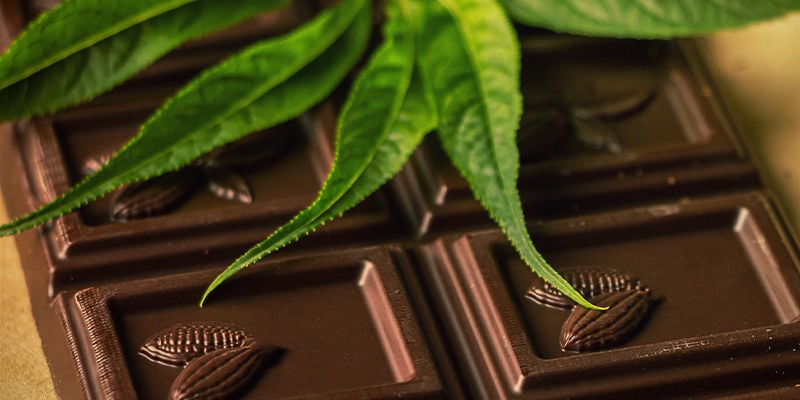 CHOCOLATE Y MARIHUANA: LA PAREJA QUÍMICA PERFECTA