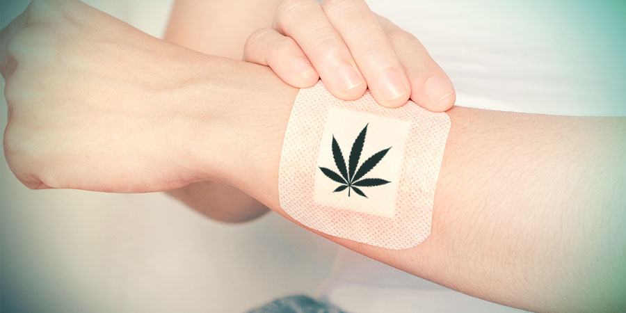 Ingesta Tópica/transdérmica De Cannabis Medicinal