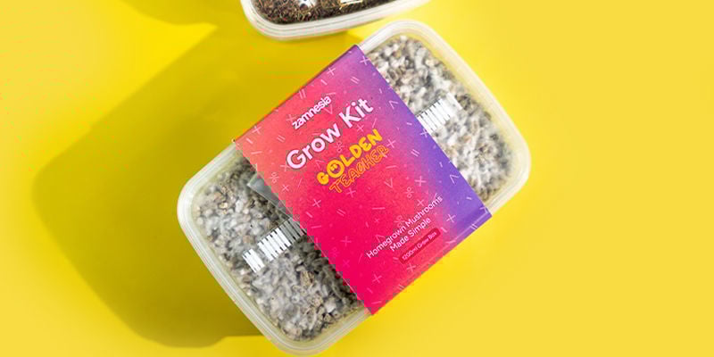 Kit De Cultivo Fresh Mushrooms “Golden Teacher”