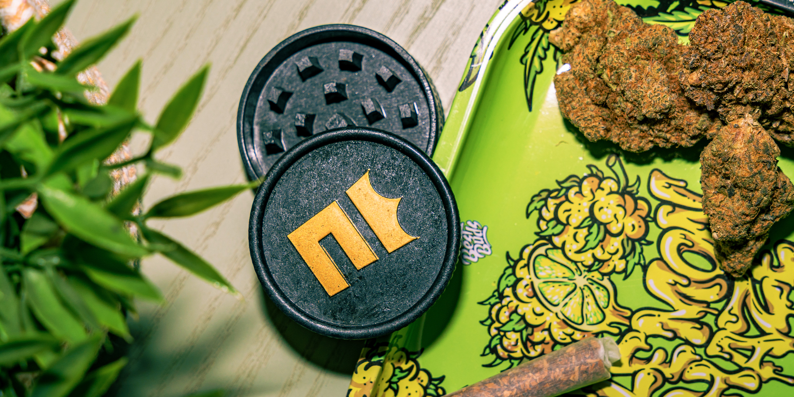 Biodegradable Hemp Grinder: Zamnesia Biodegradable Hemp Grinder: Zamnesia