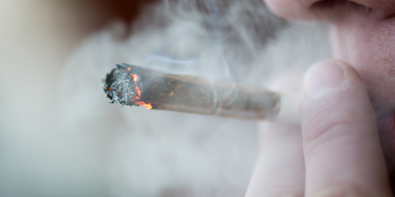 ¿Las variedades 1:1 con THC colocan?