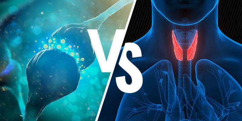 Sistema Endocannabinoide Vs Sistema Endocrino