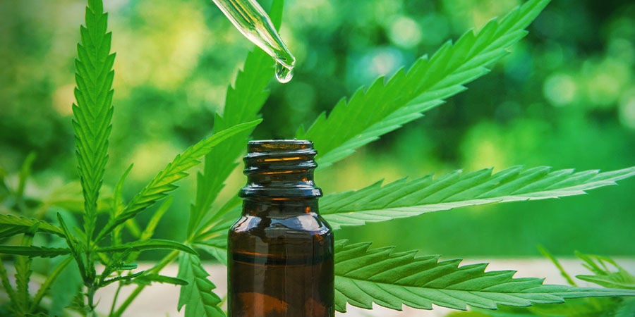 CBD Fix Auto: La Alegría De Los Cultivadores De Cannabis Medicinal