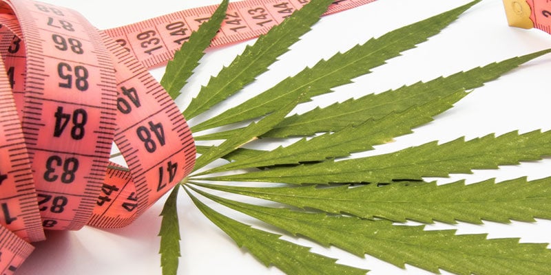 La relación entre la marihuana y la pérdida de peso