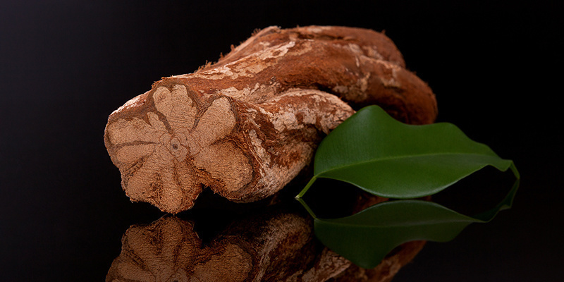 ¿Qué es la ayahuasca?