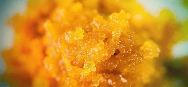 Dabbing Live Resin