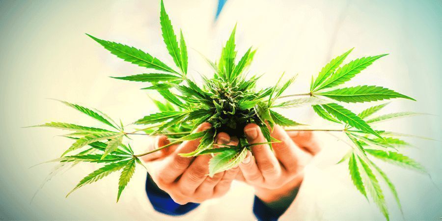 PIENSA CON QUÉ FIN QUIERES USAR EL CBD