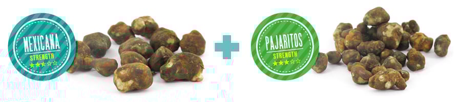 ¿POR QUÉ ES TAN ESPECIAL NUESTRO “DÚO DINÁMICO” DE TRUFAS MÁGICAS?