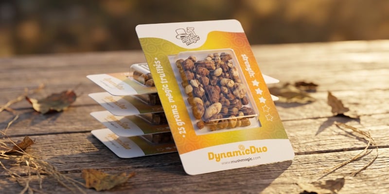 ¿Qué Hace Especial A Nuestro Dynamic Duo? ¿Qué Hace Especial A Nuestro Dynamic Duo?