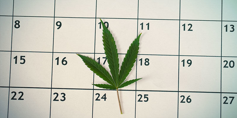 Cómo Prepararte Para Una Prueba De Detección De Drogas