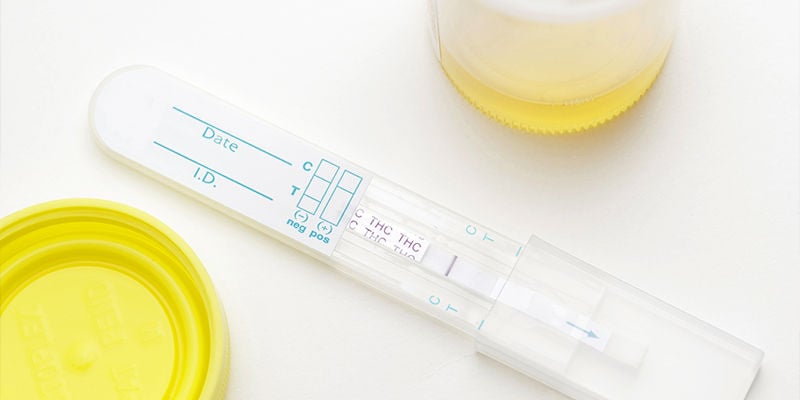 Pruebas De Detección De Drogas: Todo Lo Que Debes Saber - Zamnesia