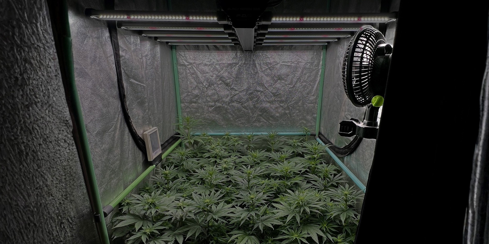 Mant&eacute;n la humedad a raya para evitar el moho