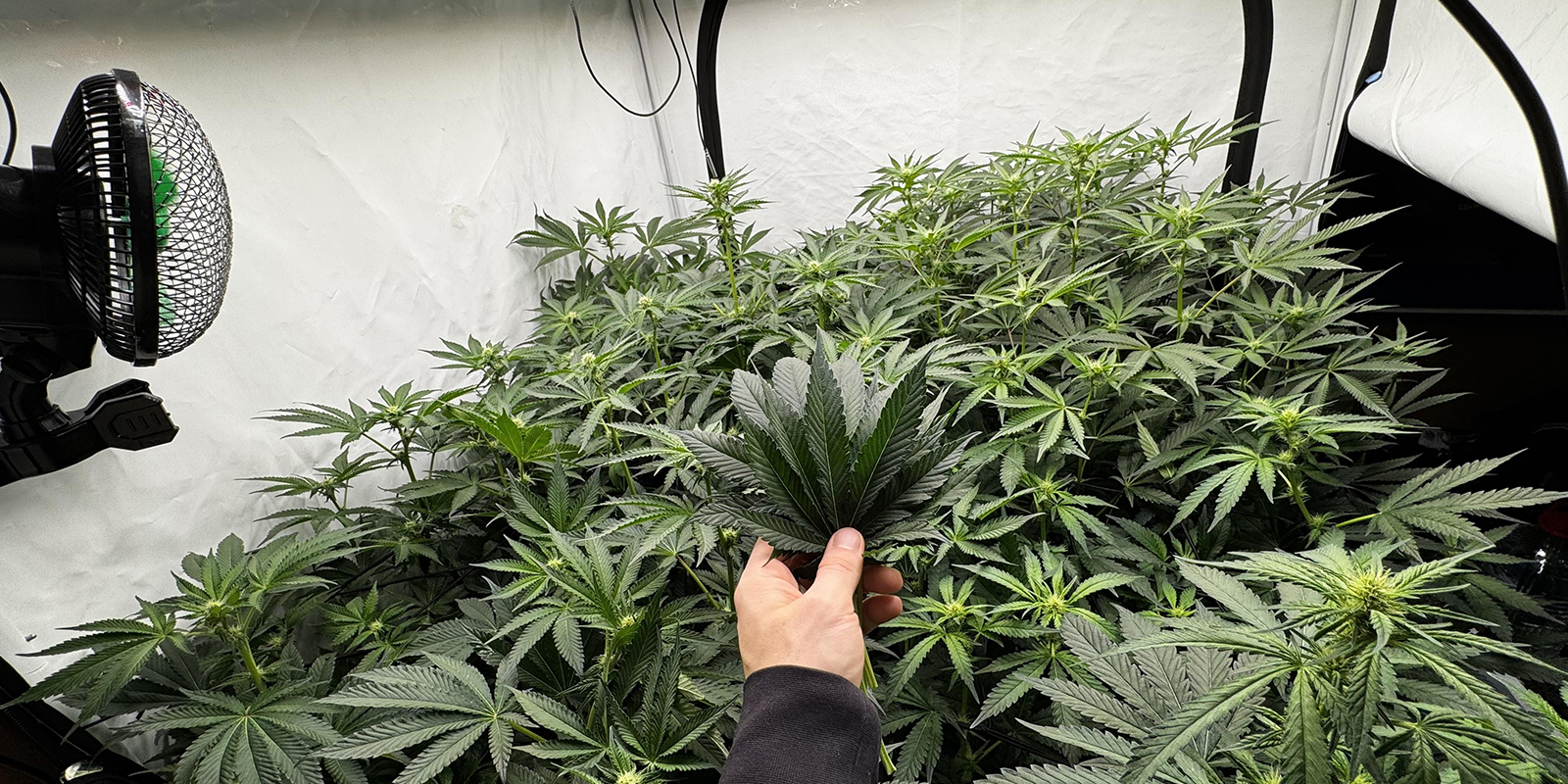 Planifica bien los tiempos