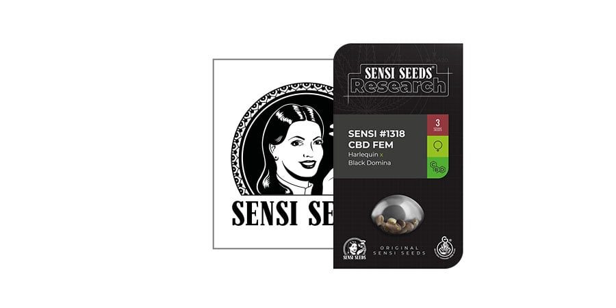 Sensi 1318 CBD (Sensi Seeds Research)