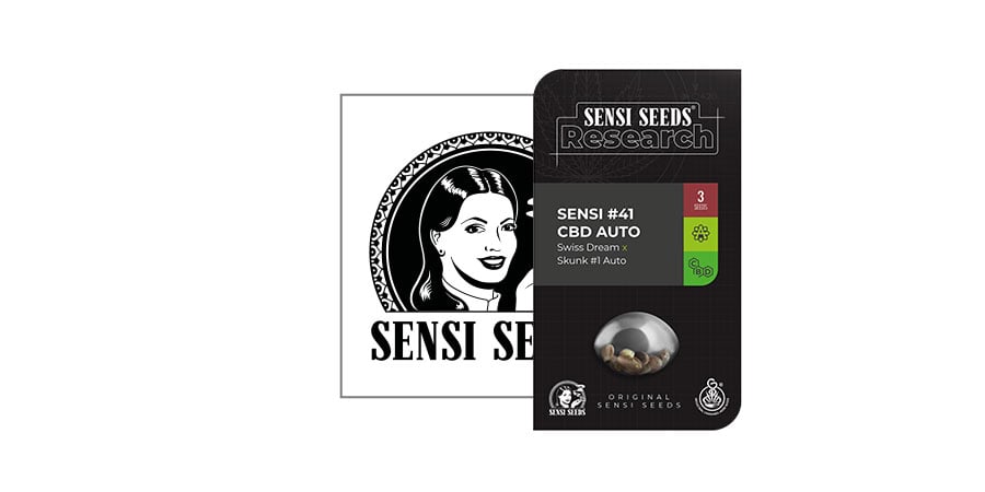 Sensi 41 CBD AUTO (Sensi Seeds Research)