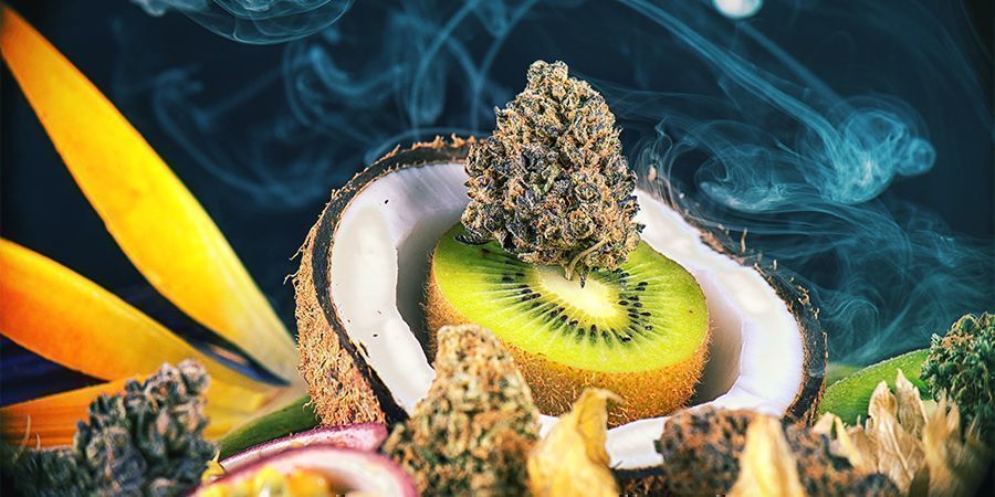 Cepas De Cannabis Sabrosas