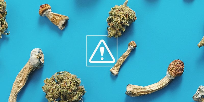 ¿Cuáles Son Los Riesgos De Mezclar Marihuana Y Setas Mágicas?