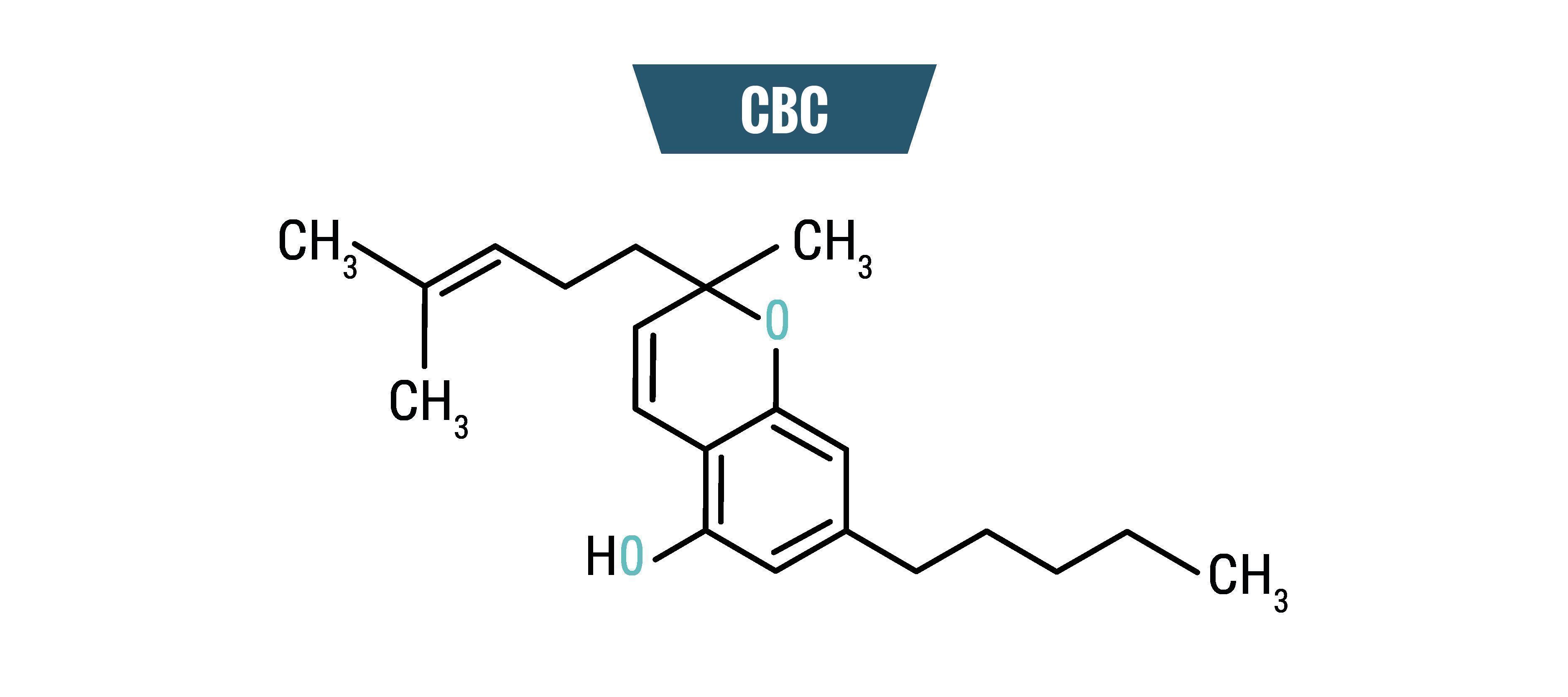 ¿Qué Es El CBC?