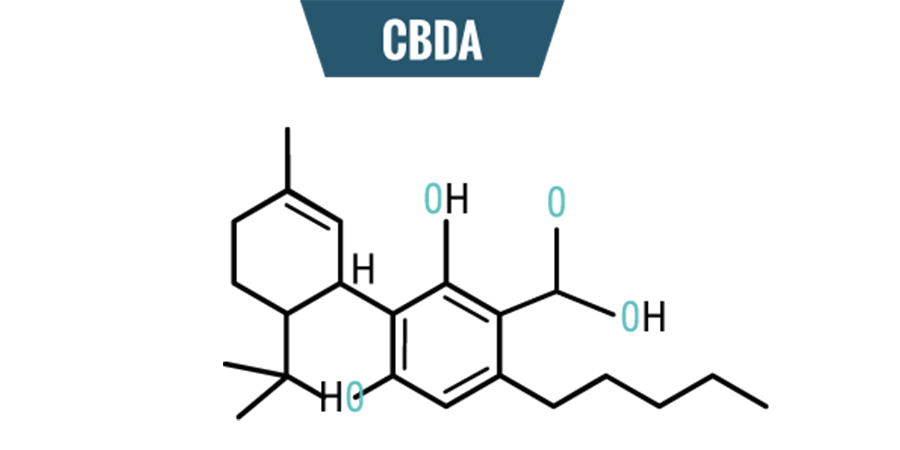 Química De CBDA Química De CBDA