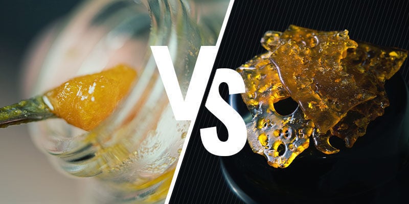  ¿Qué Diferencias Hay Entre El Live Resin Y Otros Concentrados?