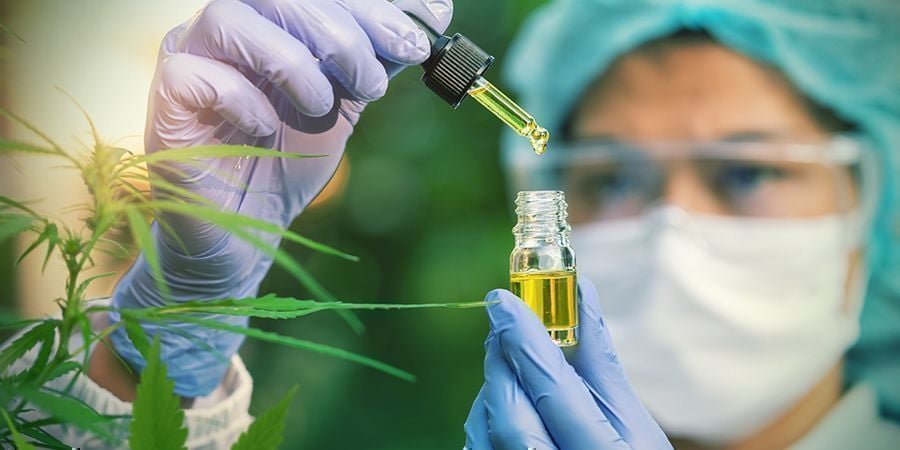 El CBD Enlaza Con Los Receptores Cannabinoides