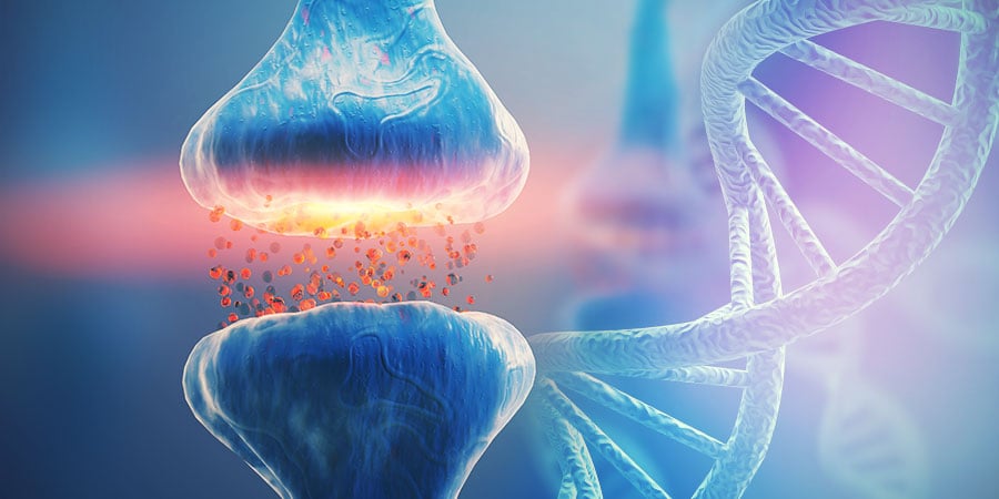 EL ADN Y EL SISTEMA ENDOCANNABINOIDE