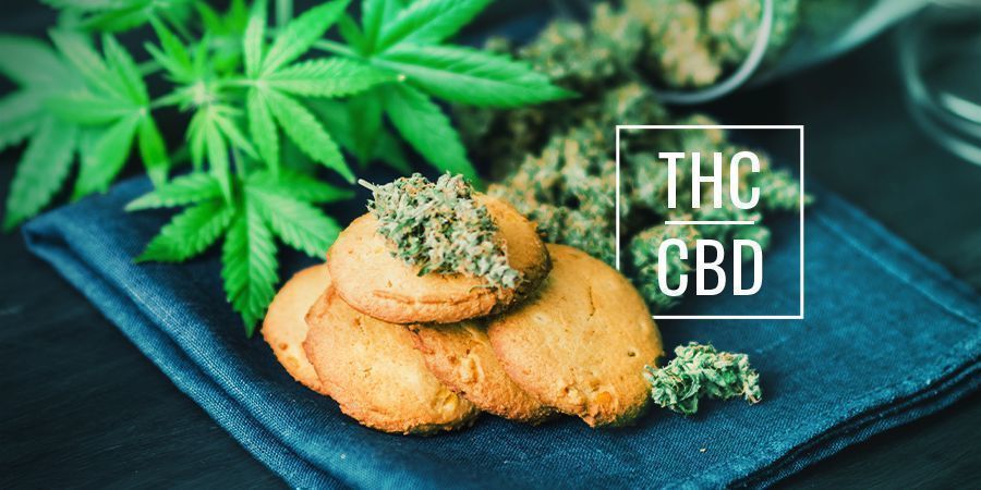 ¿Qué Diferencia Hay Entre Los Comestibles De Cannabis Con CBD Y Con THC?