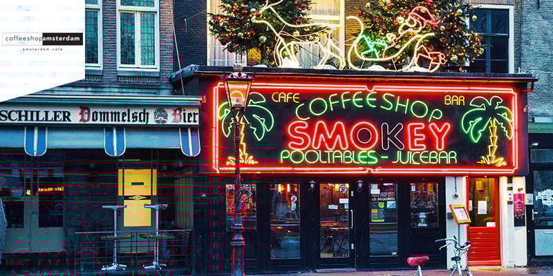 Coffeeshop Amsterdam - Comestibles De Cannabis