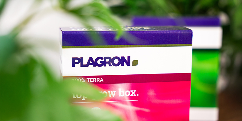Plagron: ¿Quiénes son y qué hacen?