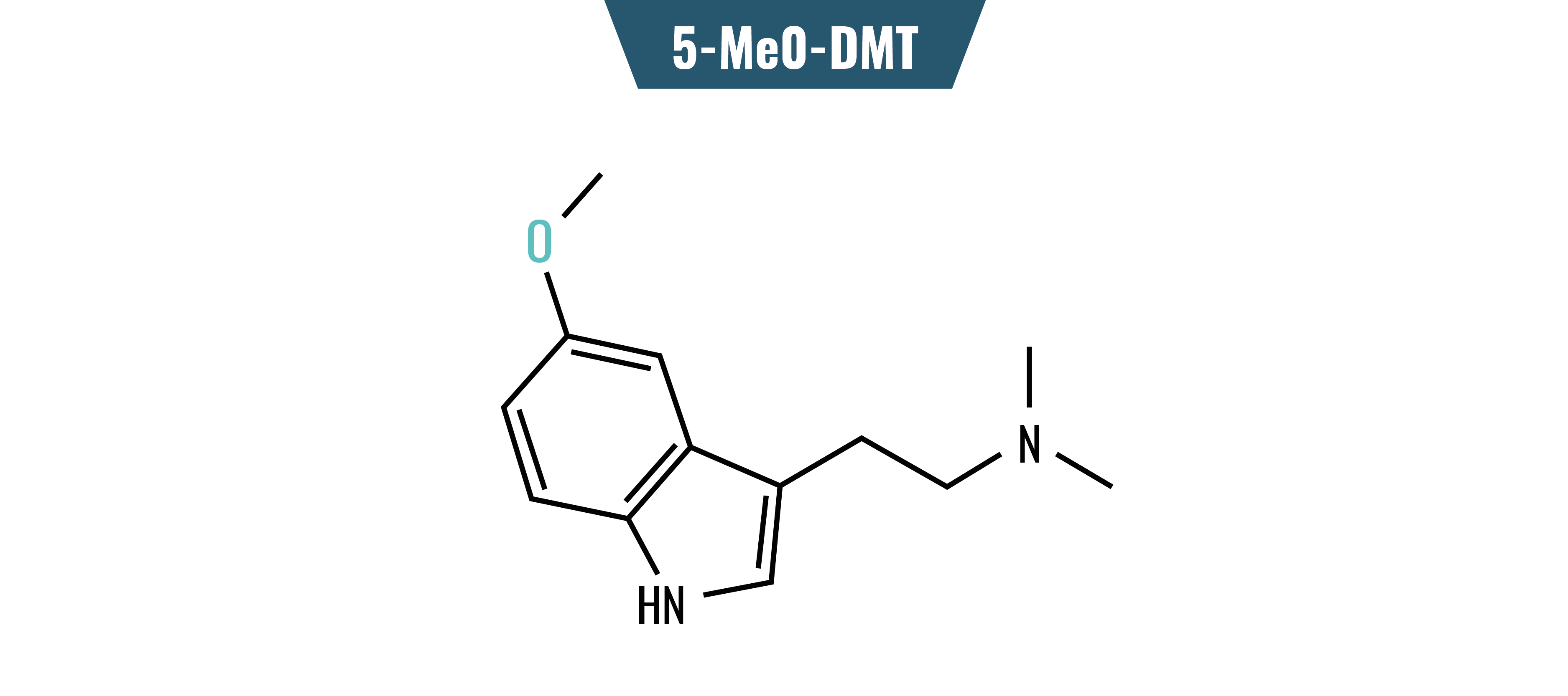 ¿Cómo Es Realmente Un Viaje Con DMT? Zamnesia Blog