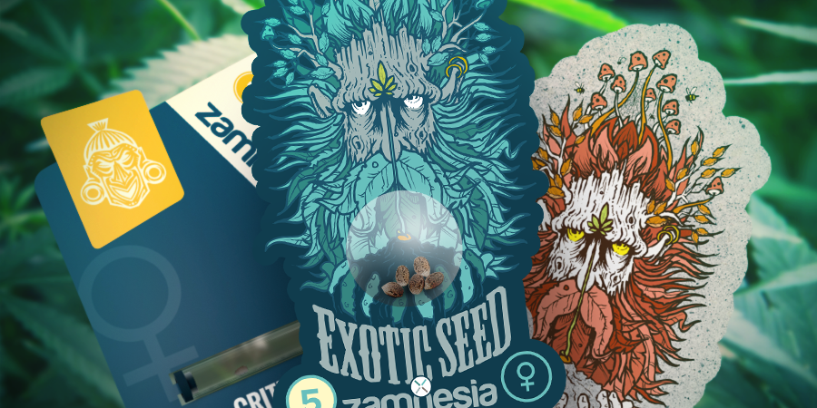 ZAMNESIA Y EXOTIC SEED: UNA COLABORACIÓN POTENTE