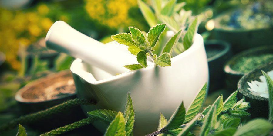 Jugo De Plantas Fermentadas (JPF) Abono Cannabis