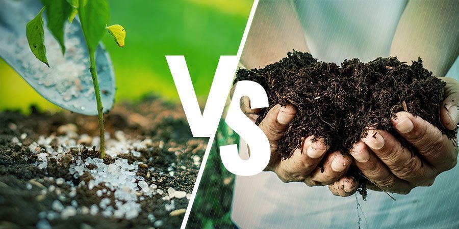 FERTILIZANTES YA PREPARADOS VS CASEROS