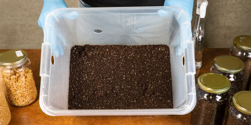 ¿Cuál es el tamaño ideal de un monotub?