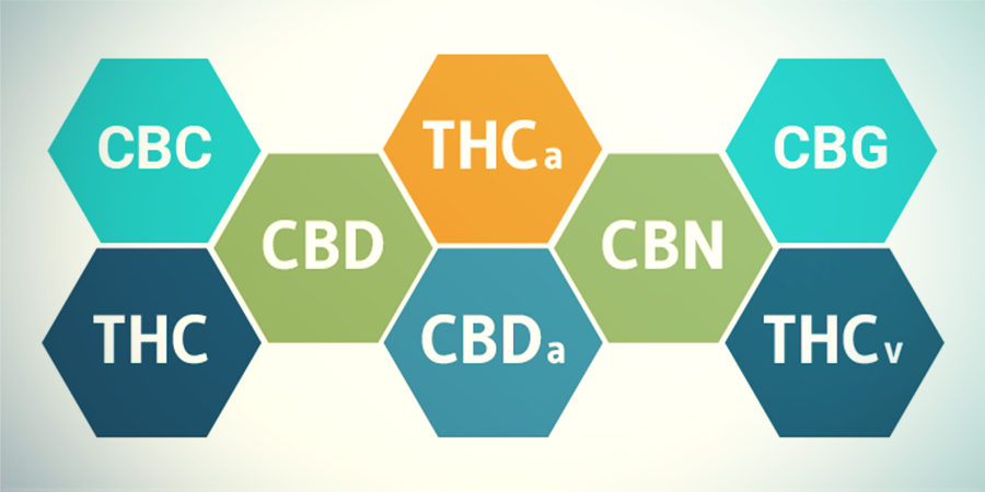 ¿Qué Ocurre Con Los Cannabinoides Distintos Al THC?