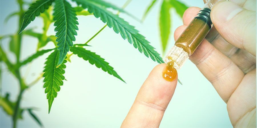 Beneficios De Las Raíces Del Cannabis