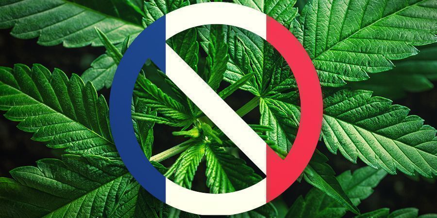 La Historia De Francia Con El Cannabis