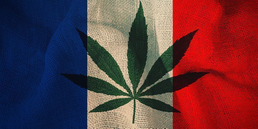 Francia y El Cannabis: El Plan Del Comité