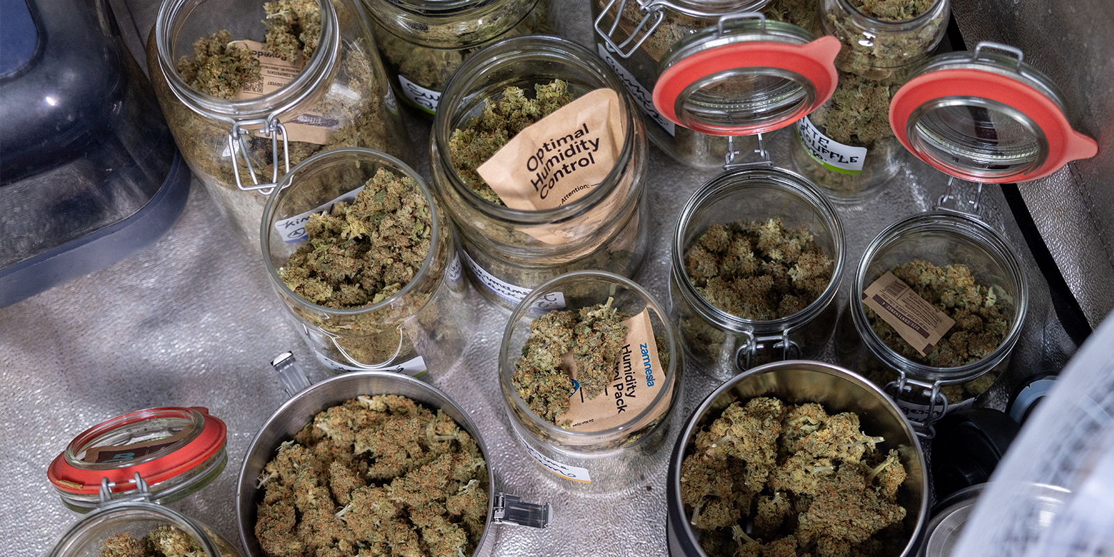 Cuida tu cultivo y recoge a lo grande Cuida tu cultivo y recoge a lo grande